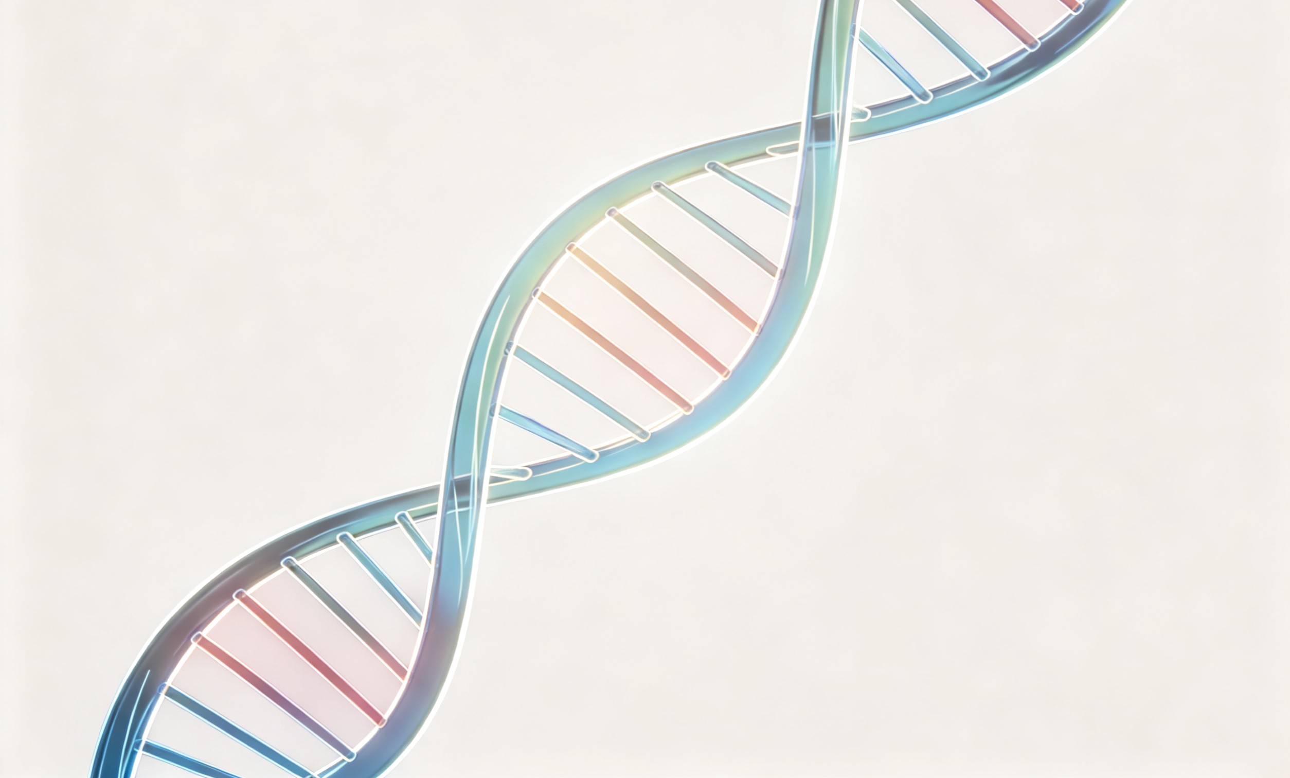 專業醫療器械翻譯公司的資質認證有哪些?